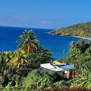 Escale A Grande Anse Appartement